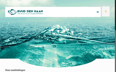 Vishandel Ruud den Haan website