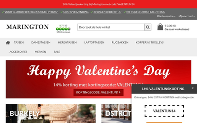 Marington.nl website