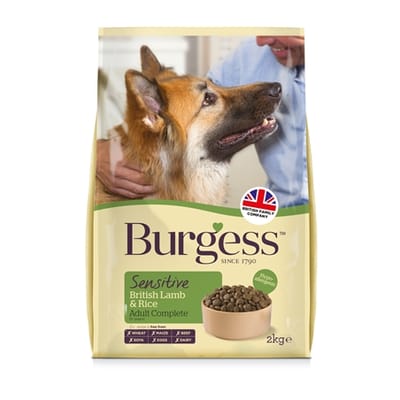 Burgess dog sensitive brits lam rijst 2 kg