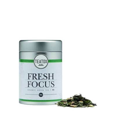 Vegan Thee Fresh Focus Green Tea Gingko