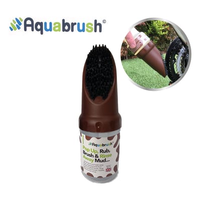 AquaBrush 250ml Cleaning kit Brown