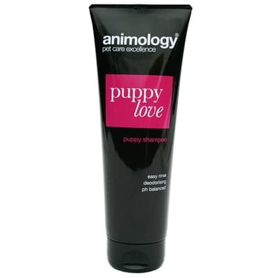 Animology puppy love shampoo