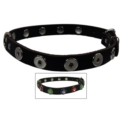 Halsband voor hond leer buttons zwart 65 Art cm
