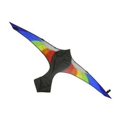 Rhombus Vlieger Falcon Rainbow