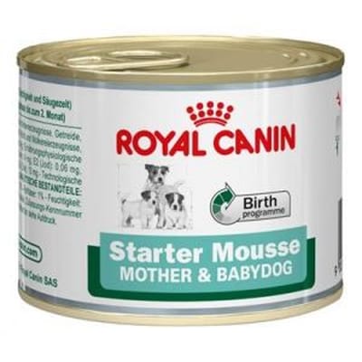 Royal canin starter mousse gr