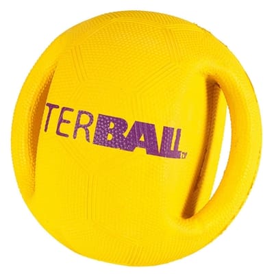 Petbrands interball mini met swing tag label