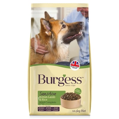 Burgess dog sensitive brits lam rijst kg
