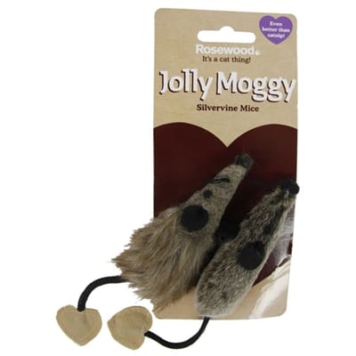 Jolly moggy silvervine muis