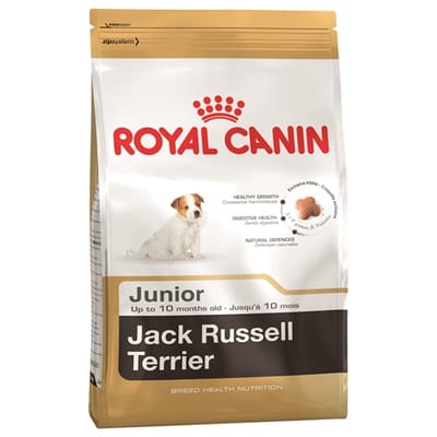 Royal Canin Jack Russel Junior 3 kg