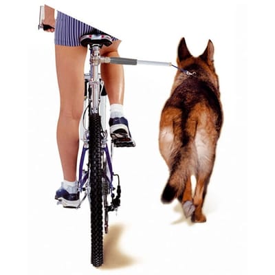 Camon walky dog fietsbeugel