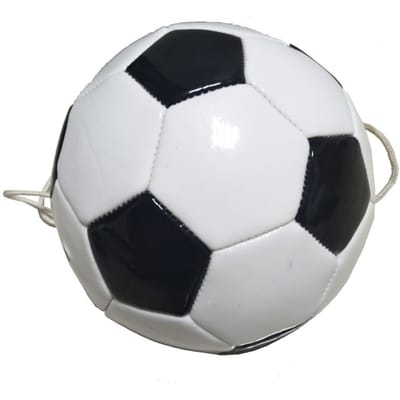 Sportx Voetbal trainer